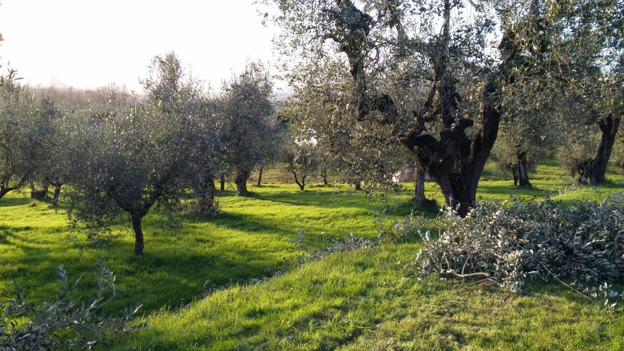Casa "Il Brio" Villa Pistoia Exteriör bild