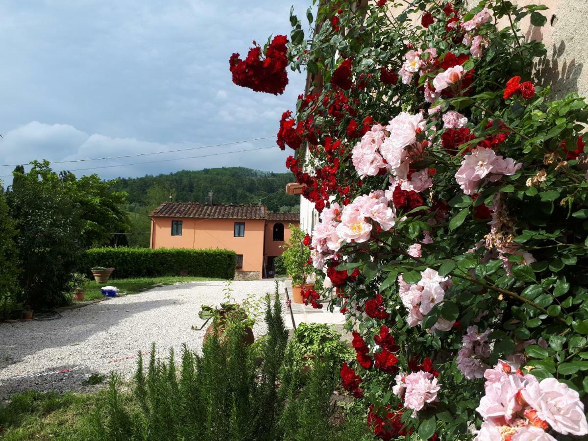 Casa "Il Brio" Villa Pistoia Exteriör bild